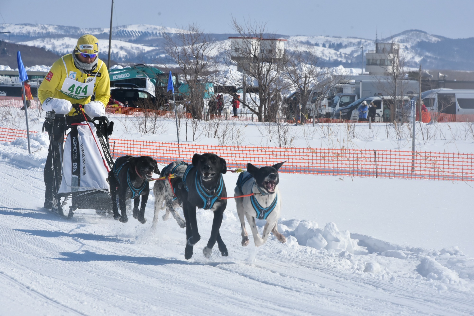 犬たちの甲子園」 真冬の稚内で人犬一体となった熱いレースが開催され