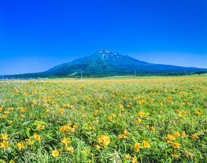 最北の2島、「夢の浮島 利尻島」・「花の浮島 礼文島」をはしご旅