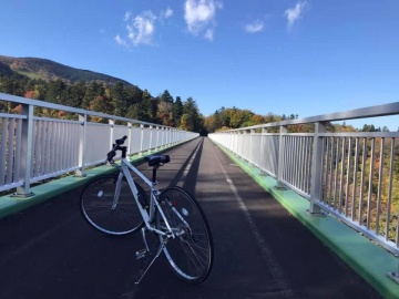 湾内大橋