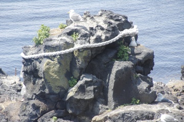 人面岩・寝熊の岩・北のいつくしま弁天宮