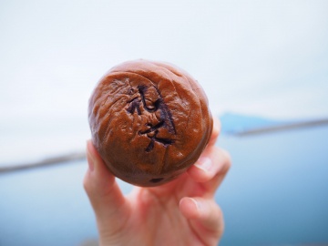 老舗和菓子店「うのず製菓」