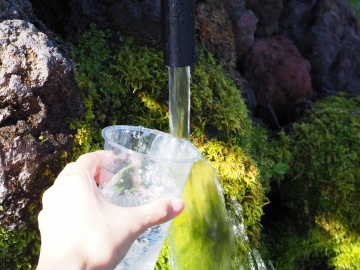 麗峰湧水