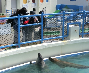 わっかりうむ ノシャップ寒流水族館