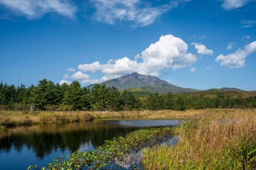 南浜湿原