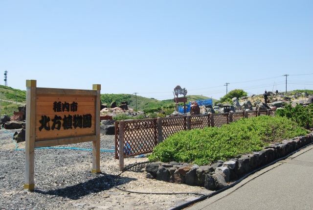 稚内市北方植物園