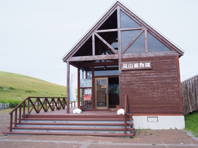 礼文町　高山植物園