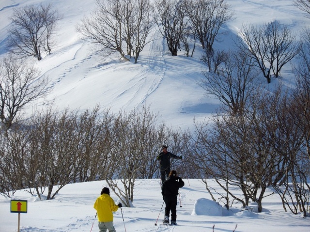 宗谷ふれあい公園スノーランド