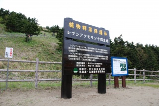 レブンアツモリソウ群生地