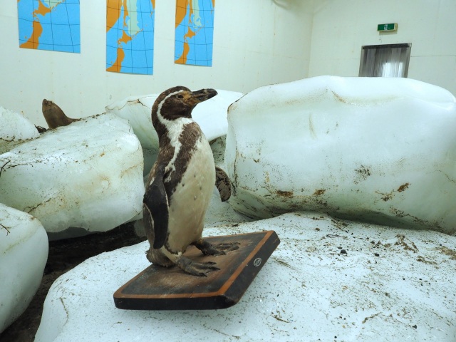 宗谷岬流氷館