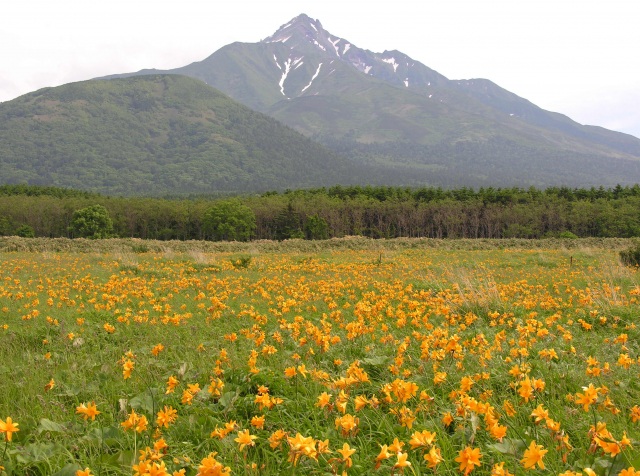 富士野園地