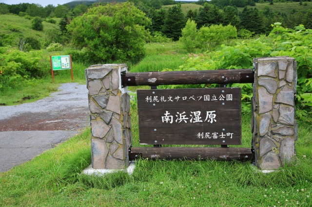 南浜湿原