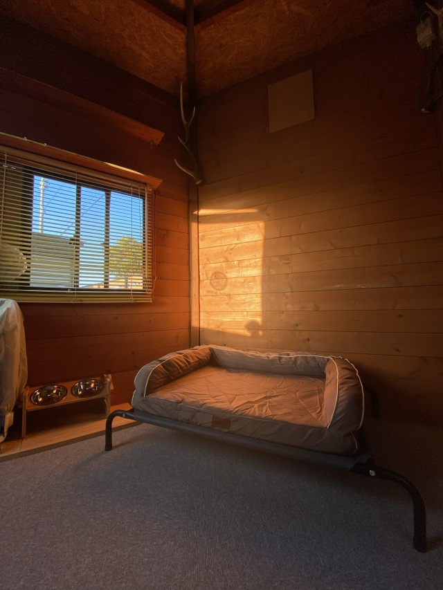 ドッグ専用ログハウス