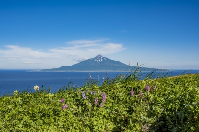 礼文島から望む利尻富士（６月頃）